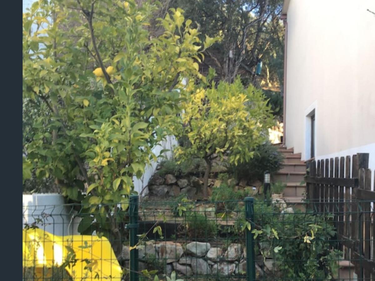 Sunny Costa Brava Getaway Apartment Santa Cristina d'Aro Ngoại thất bức ảnh